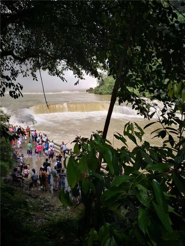 1565662280915052.jpg 微信图片_20190812173607.jpg