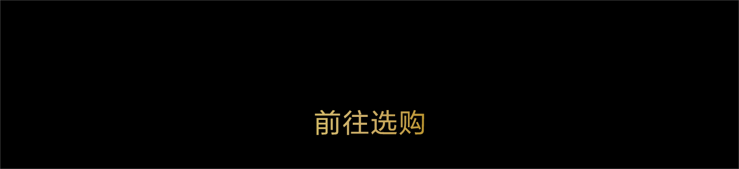 兰博基尼长文-18.1.png